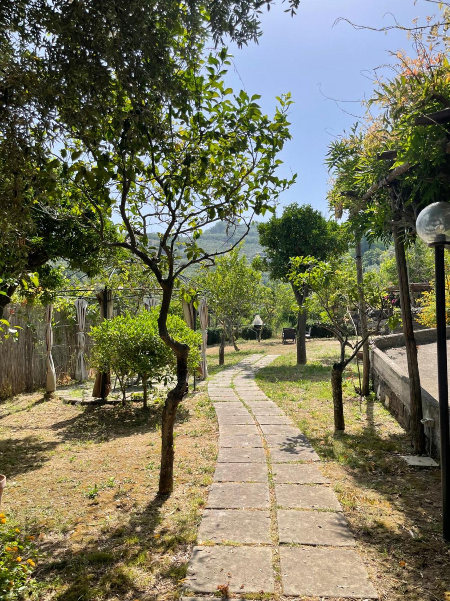 Villa Rosmary Massa Lubrense Exterior foto
